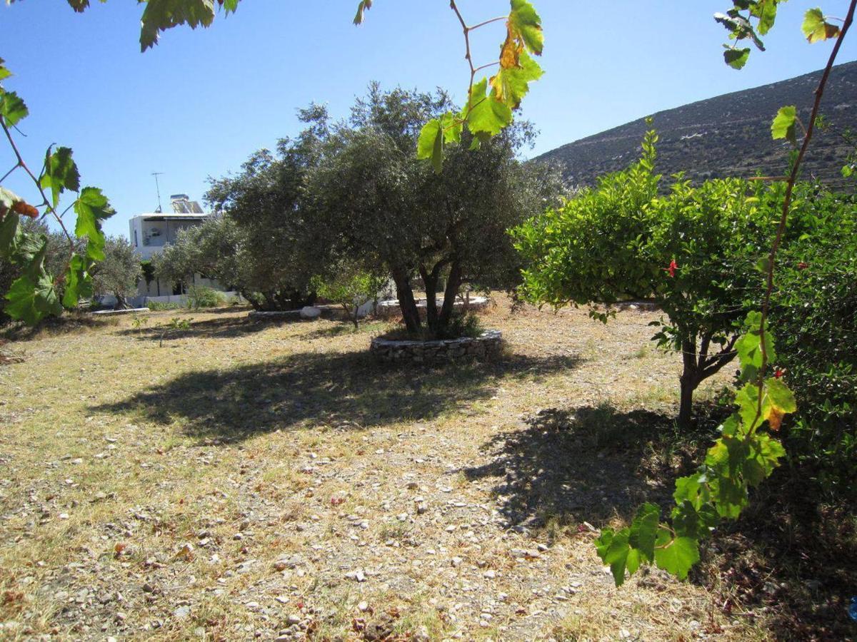 Elisso Villas Platis Gialos  Esterno foto