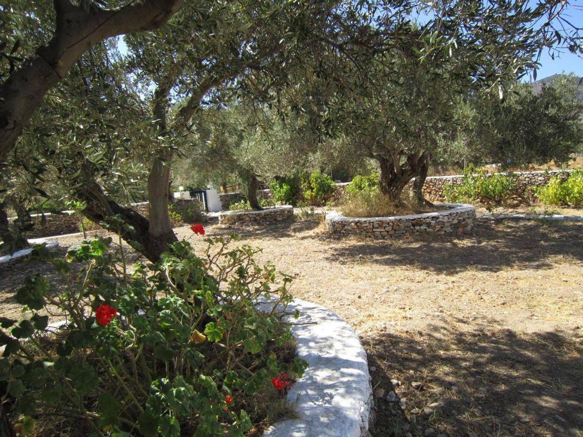 Elisso Villas Platis Gialos  Esterno foto