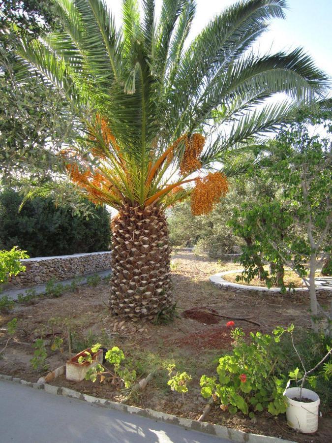 Elisso Villas Platis Gialos  Esterno foto
