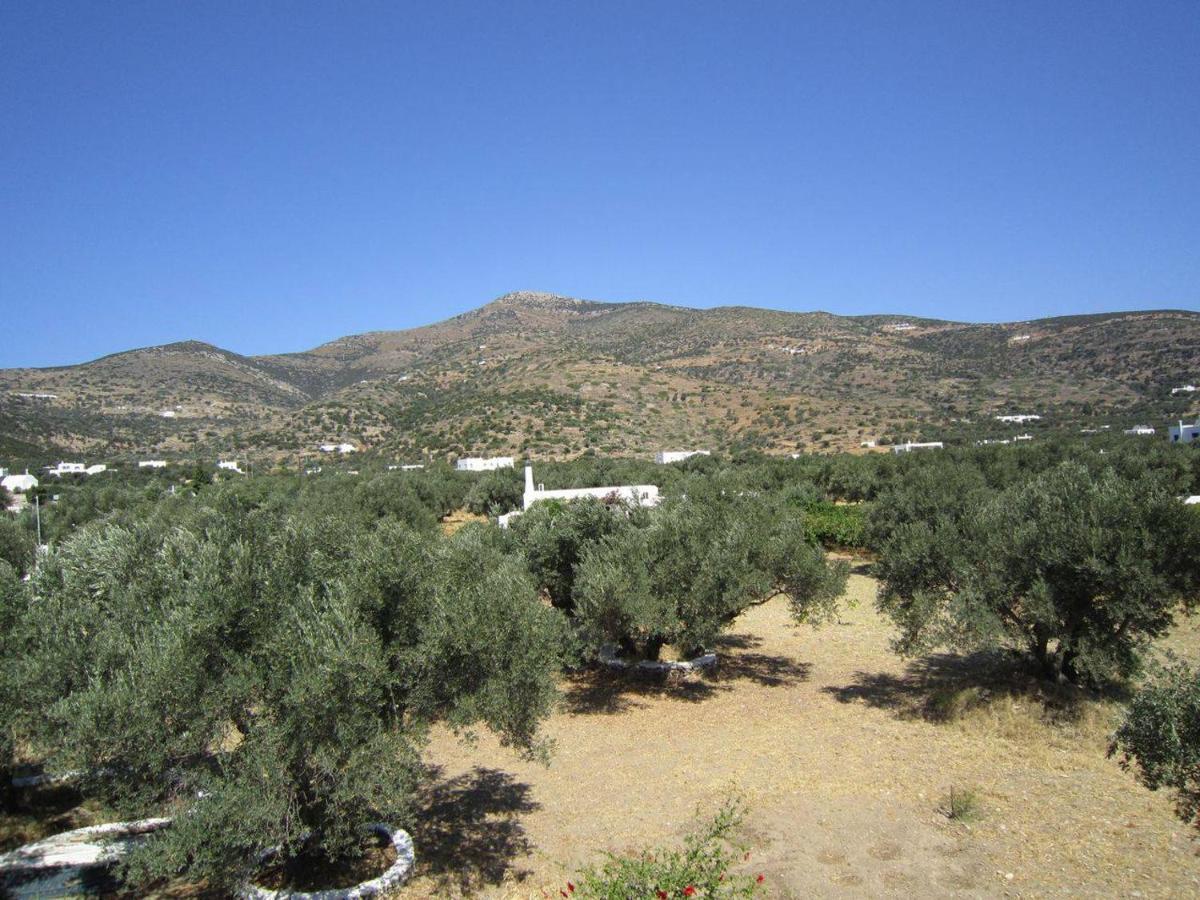 Elisso Villas Platis Gialos  Esterno foto