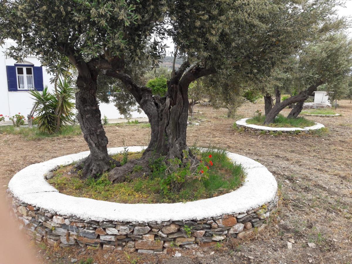 Elisso Villas Platis Gialos  Esterno foto