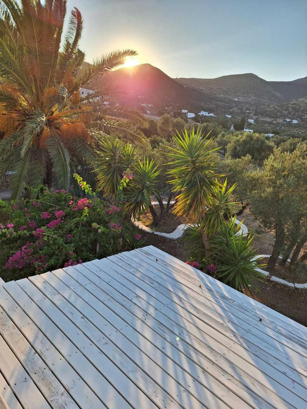 Elisso Villas Platis Gialos  Esterno foto