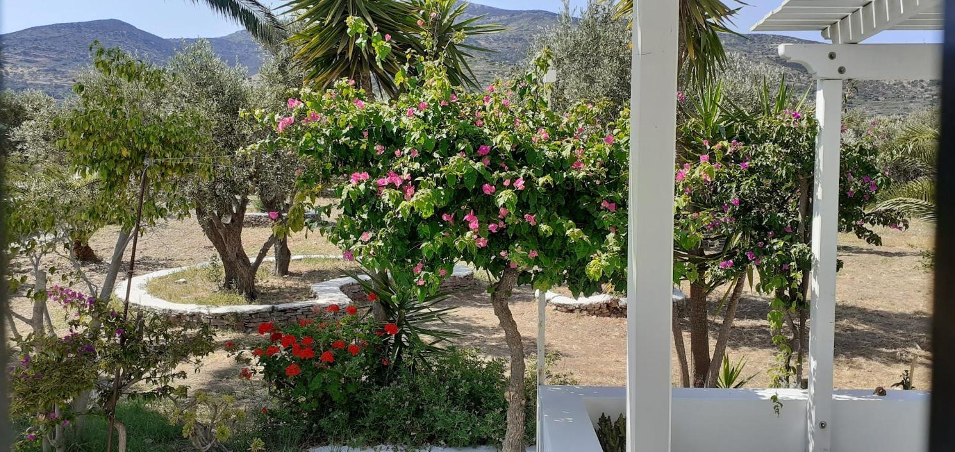 Elisso Villas Platis Gialos  Esterno foto